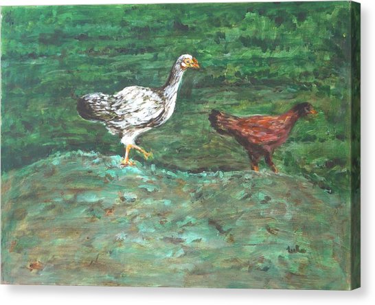 546x444 White Chicks Canvas Prints - White Chicks Painting