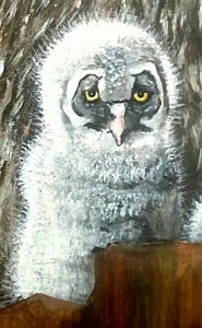 185x300 White Chicks Paintings - White Chicks Painting