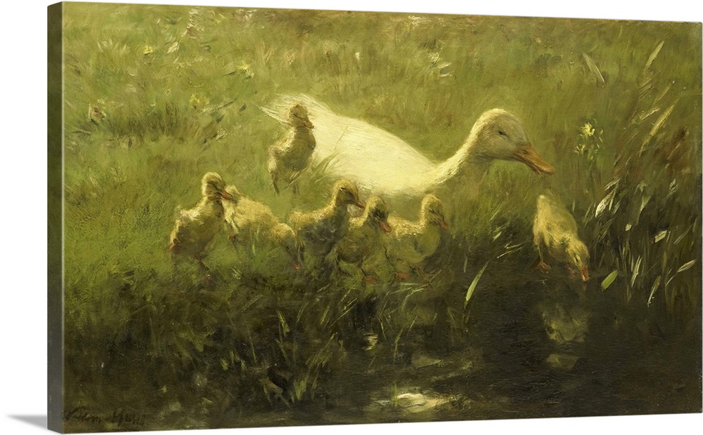 1000x620 White Duck With Her Seven Chicks, C. 1880 1910, Dutch Painting - White Chicks Painting