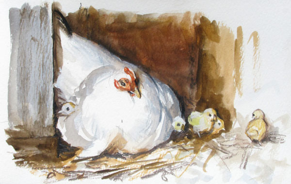 600x379 Gurney Journey The Lost Chick - White Chicks Painting