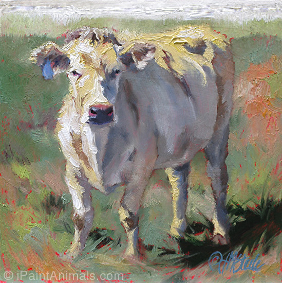 549x550 J.m. Amp T.c. Steele - White Cow Painting