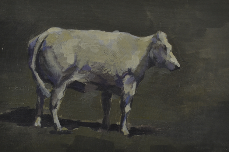 752x500 White Cow 20 X25 Oil On Panel - White Cow Painting