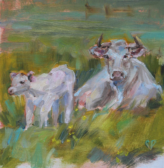570x584 White Cow And Calf Cow Painting British White Cattle - White Cow Painting