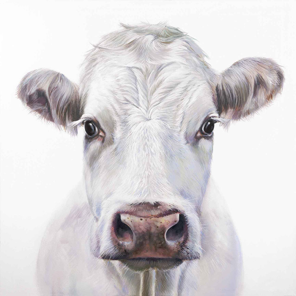 1000x1000 White On White Sara Abbott - White Cow Painting