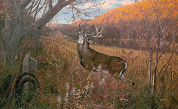 599x367 October Ritual - White Deer Painting