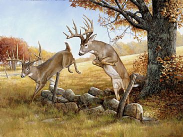366x274 White Tail Deer - White Deer Painting