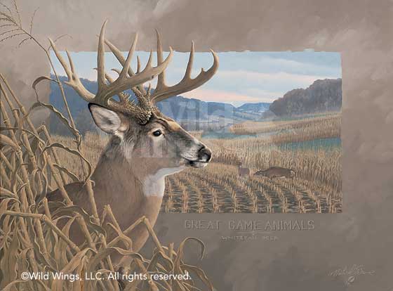 560x414 Whitetail Deer Original Oil Painting Wild Wings - White Deer Painting