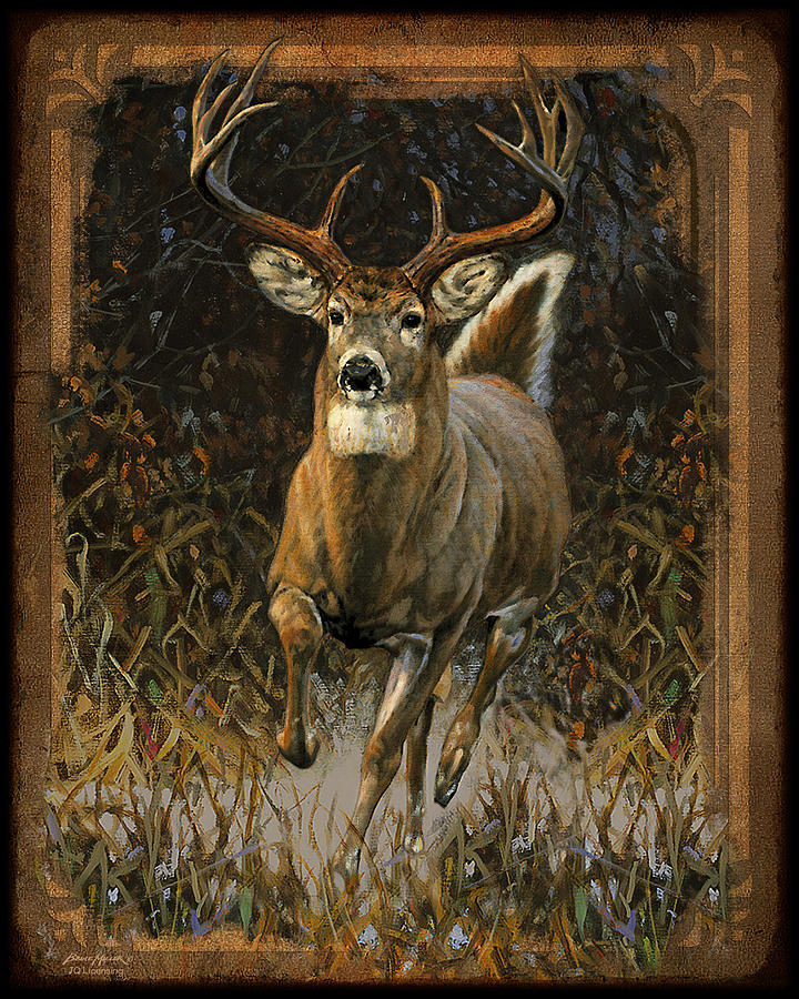 720x900 Whitetail Deer Painting By Jq Licensing - White Deer Painting