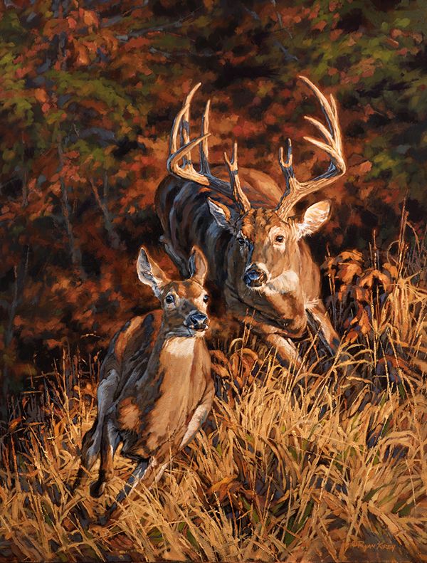 600x791 Wildlife - White Deer Painting