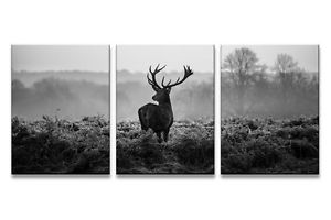 300x200 Black White Deer Painting Canvas Print Picture Modern Animal Wall - White Deer Painting