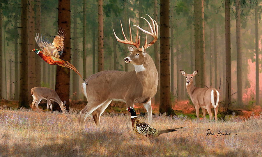 900x540 North American Wildlife Art - White Deer Painting