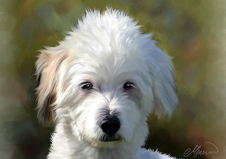 900x636 White Terrier Dog Portrait Painting By Michael Greenaway - White Dog Painting
