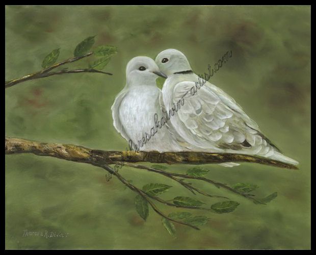 White Dove Painting at PaintingValley.com | Explore collection of White ...