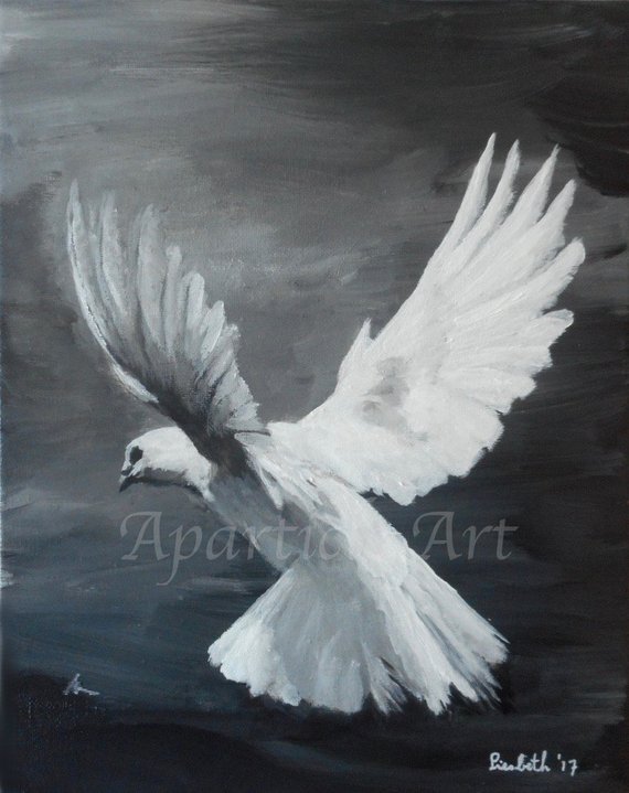 570x719 Original Acrylic Painting Flying White Dove Painting Black - White Dove Painting