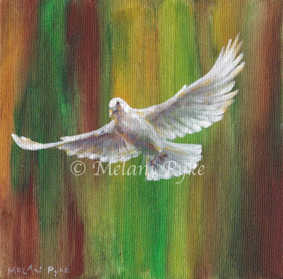 570x563 Patience - White Dove Painting