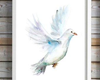 White Dove Painting at PaintingValley.com | Explore collection of White ...