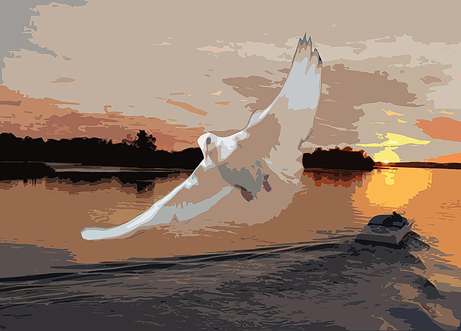 900x647 White Dove Sunset Sunrise Painting By Tanya Sorth - White Dove Painting