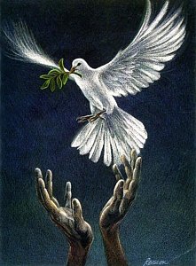 221x300 White Dove Paintings - White Dove Painting