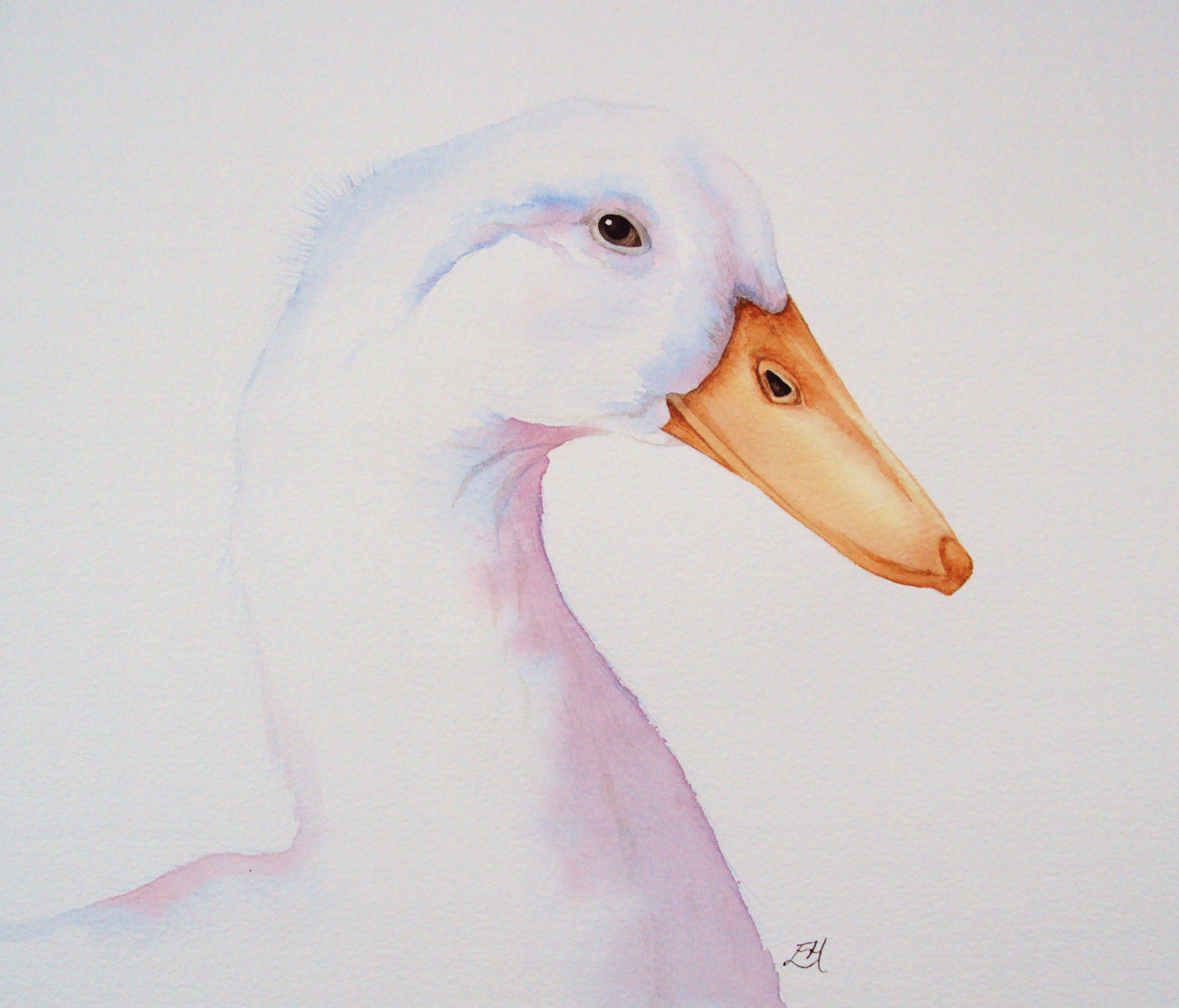 2952x2524 Watercolour White Duck Painting By Elh Artistry Art - White Duck Painting