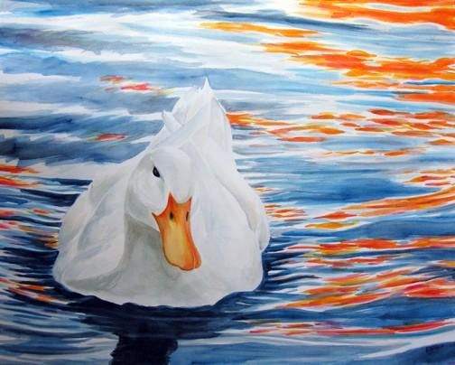 504x404 White Duck (Elizabeth Mcrorie) - White Duck Painting
