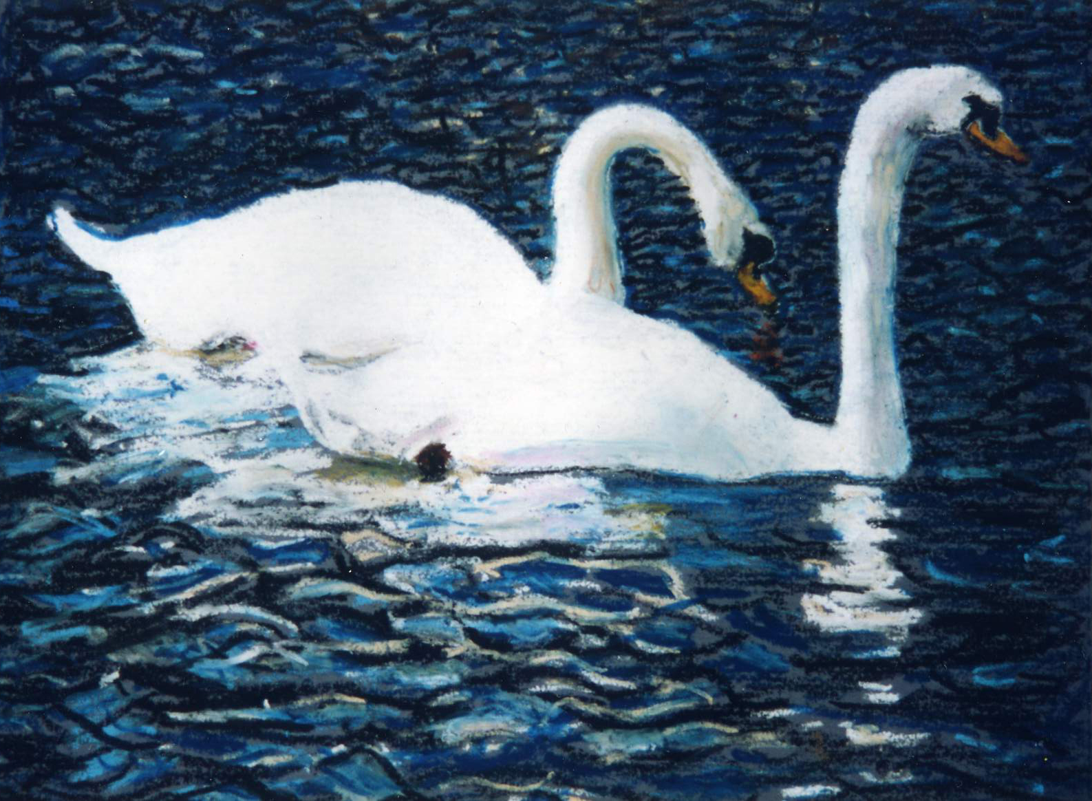 1587x1164 White Swans (1st Place Junior Duck Stamp Competition) Levi - White Duck Painting