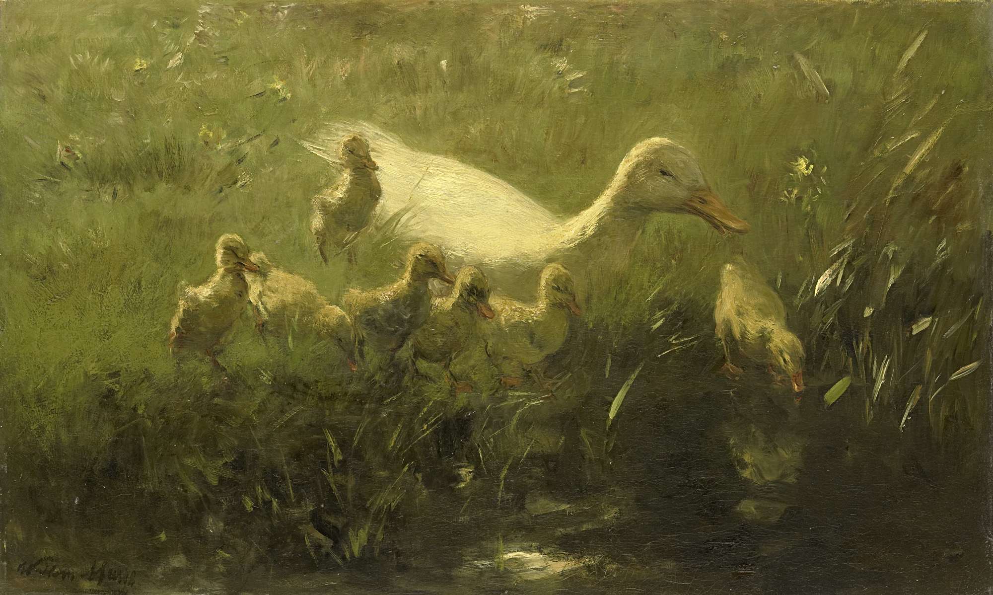 White Duck Painting at PaintingValley.com | Explore collection of White ...