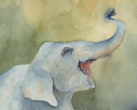 570x456 913 Best Elefantes Images On Elephant Illustration - White Elephant Painting