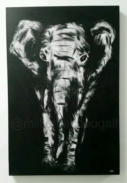 512x735 Black Amp White Elephant Painting On 30x20 Canvas In East London - White Elephant Painting