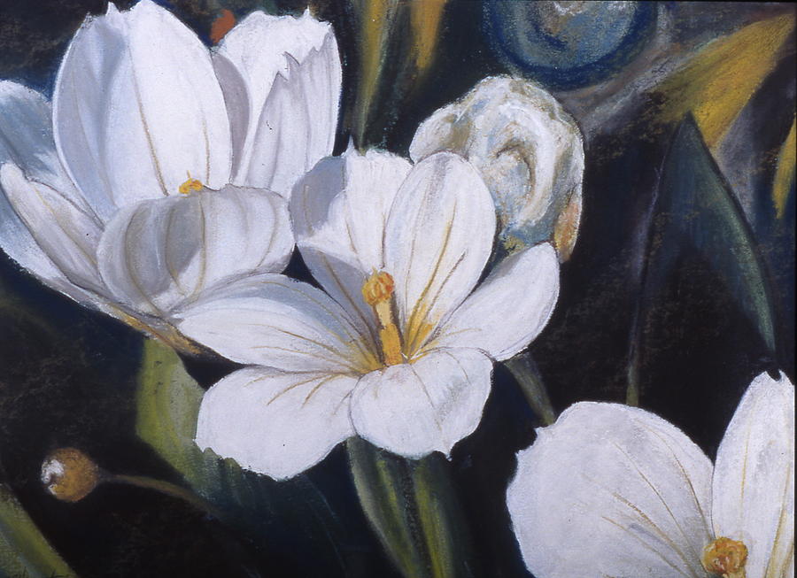 900x653 White Flower Study Painting By Victoria Heryet - White Flower Painting