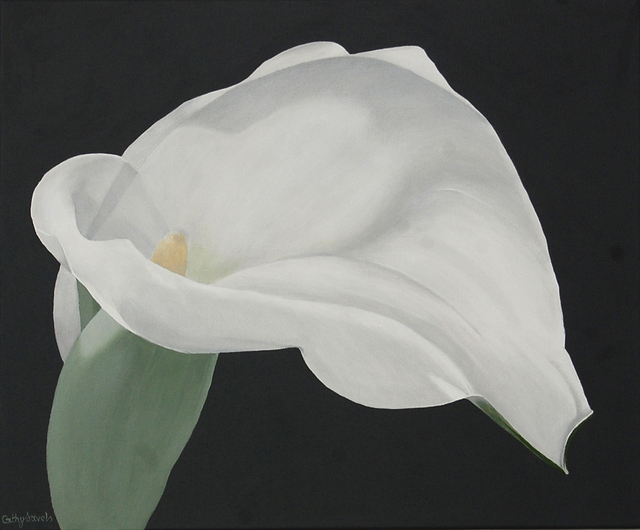 640x530 Cathy Savels Artwork Arum Lily Painting White Flower On Gray - White Flower Painting