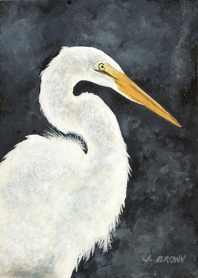642x900 Great White Egret Painting By John Brown - White Heron Painting