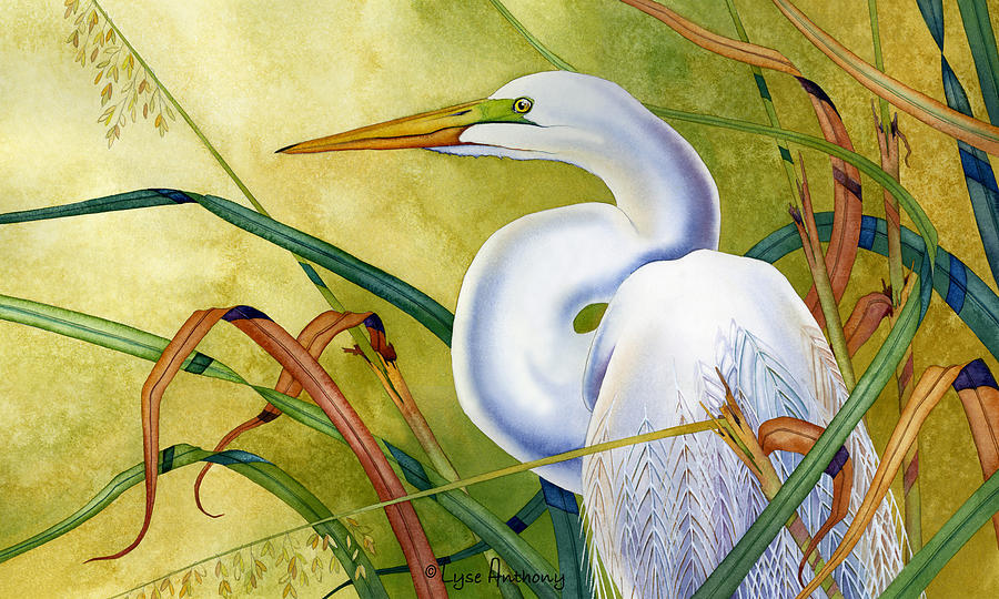 900x540 Great White Heron Painting By Lyse Anthony - White Heron Painting