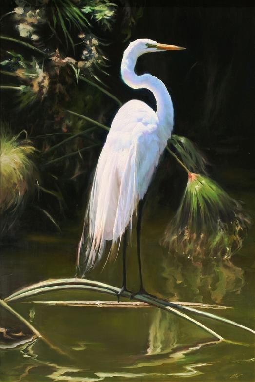 523x784 White Egret By Dominic Avant. Commissioned Painting Completed - White Heron Painting