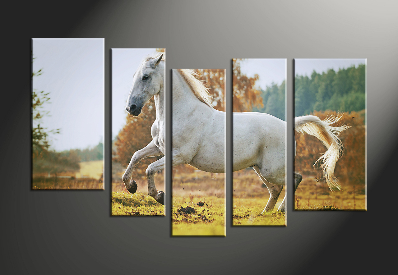 1280x885 5 Piece Wildlife White Horse Large Canvas - White Horse Canvas Painting