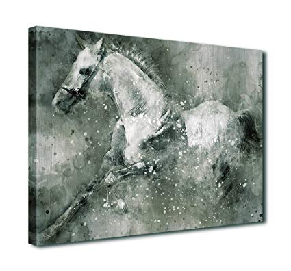 425x396 Canvas Wall Art White Horse Painting Canvas Artwork - White Horse Canvas Painting