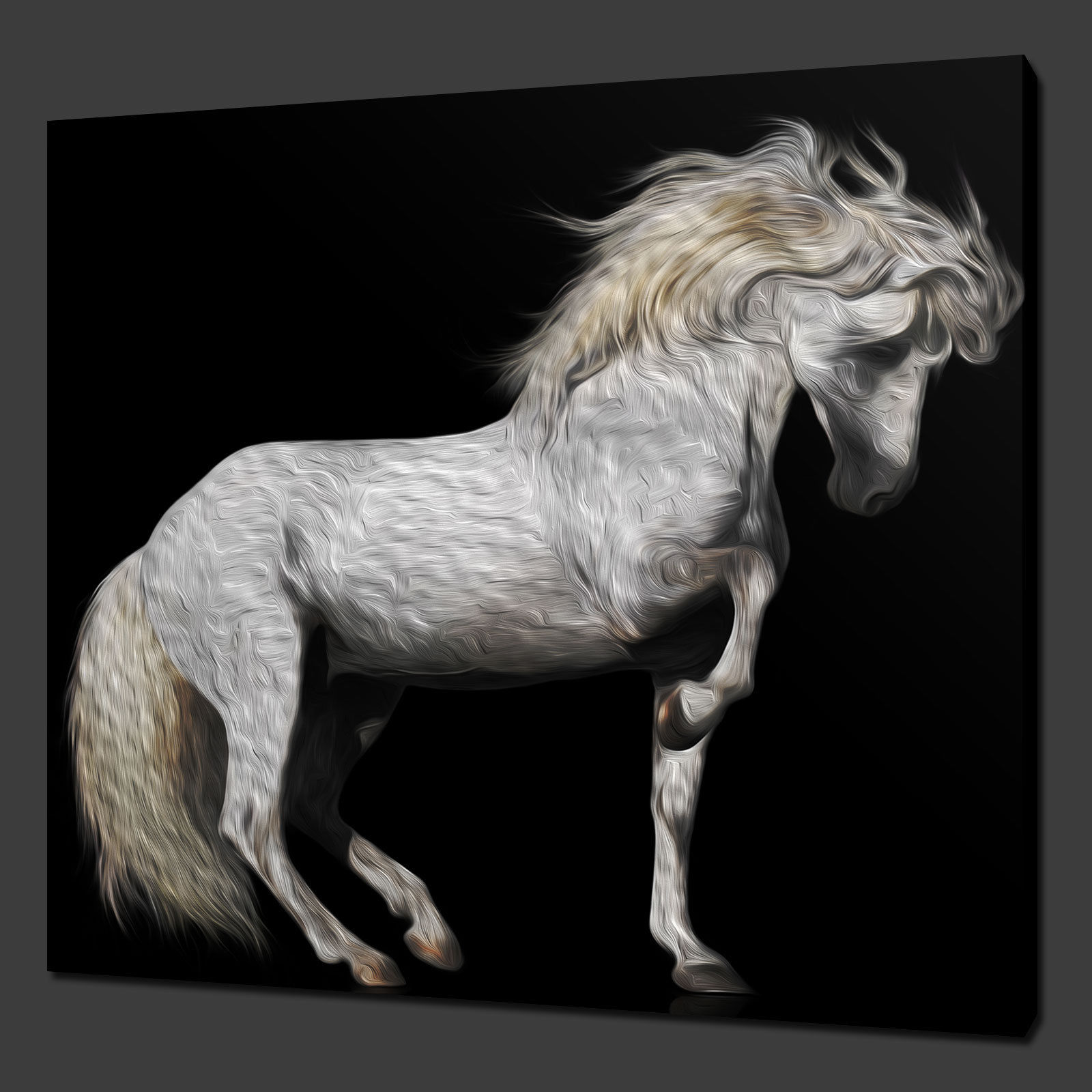 White Horse Canvas Painting at Explore collection