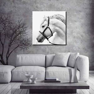 300x300 Morden Art White Horse Canvas Painting Wall Art Decor Horse Canvas - White Horse Canvas Painting