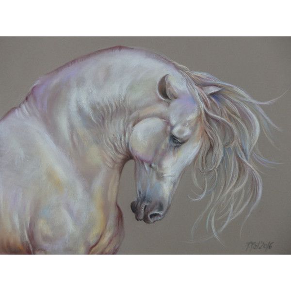 600x600 Gray Horse, Equestrian Art, Horse Head, Horse Portrait, Original - White Horse Head Painting