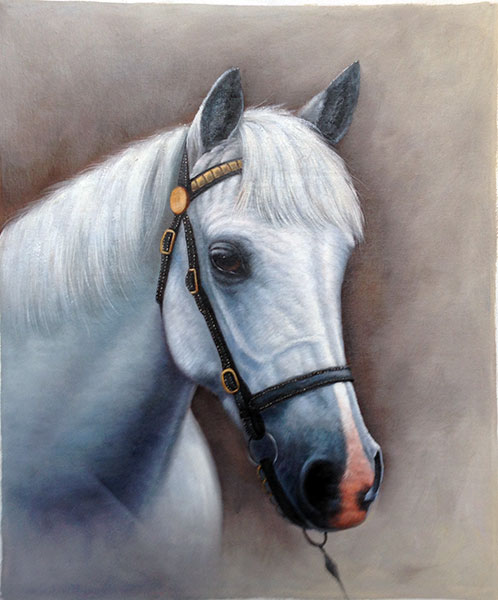 498x600 Hand Painted White Horse Oil Painting On Cavans Chinese - White Horse Head Painting