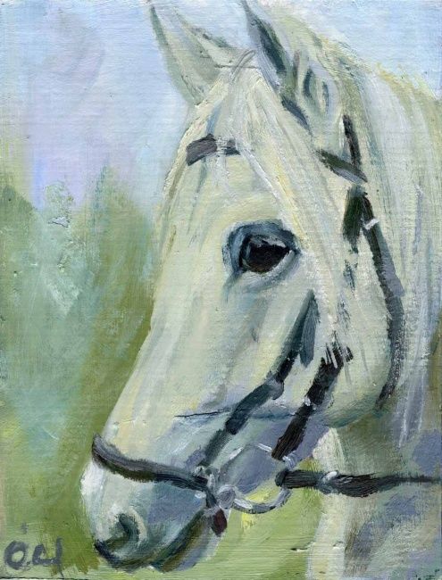 495x650 Horse Head (Lelia Sorokina) - White Horse Head Painting