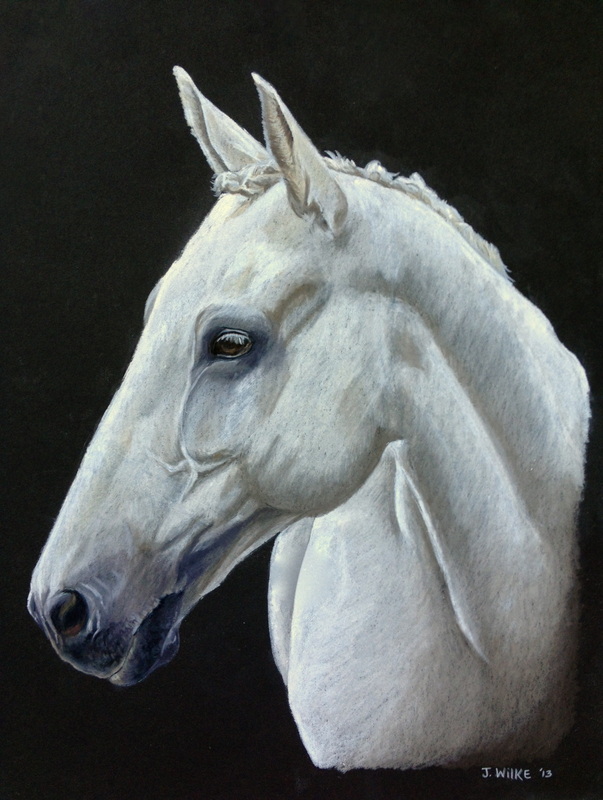 603x800 Horse Portraits - White Horse Head Painting