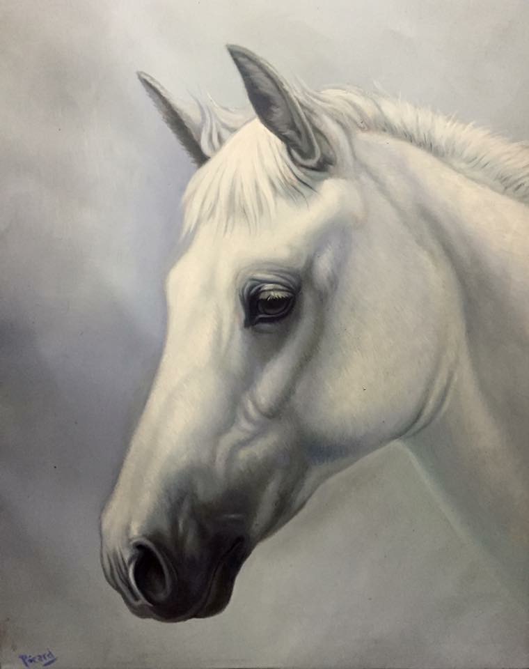 760x960 White Horse James Picard - White Horse Head Painting