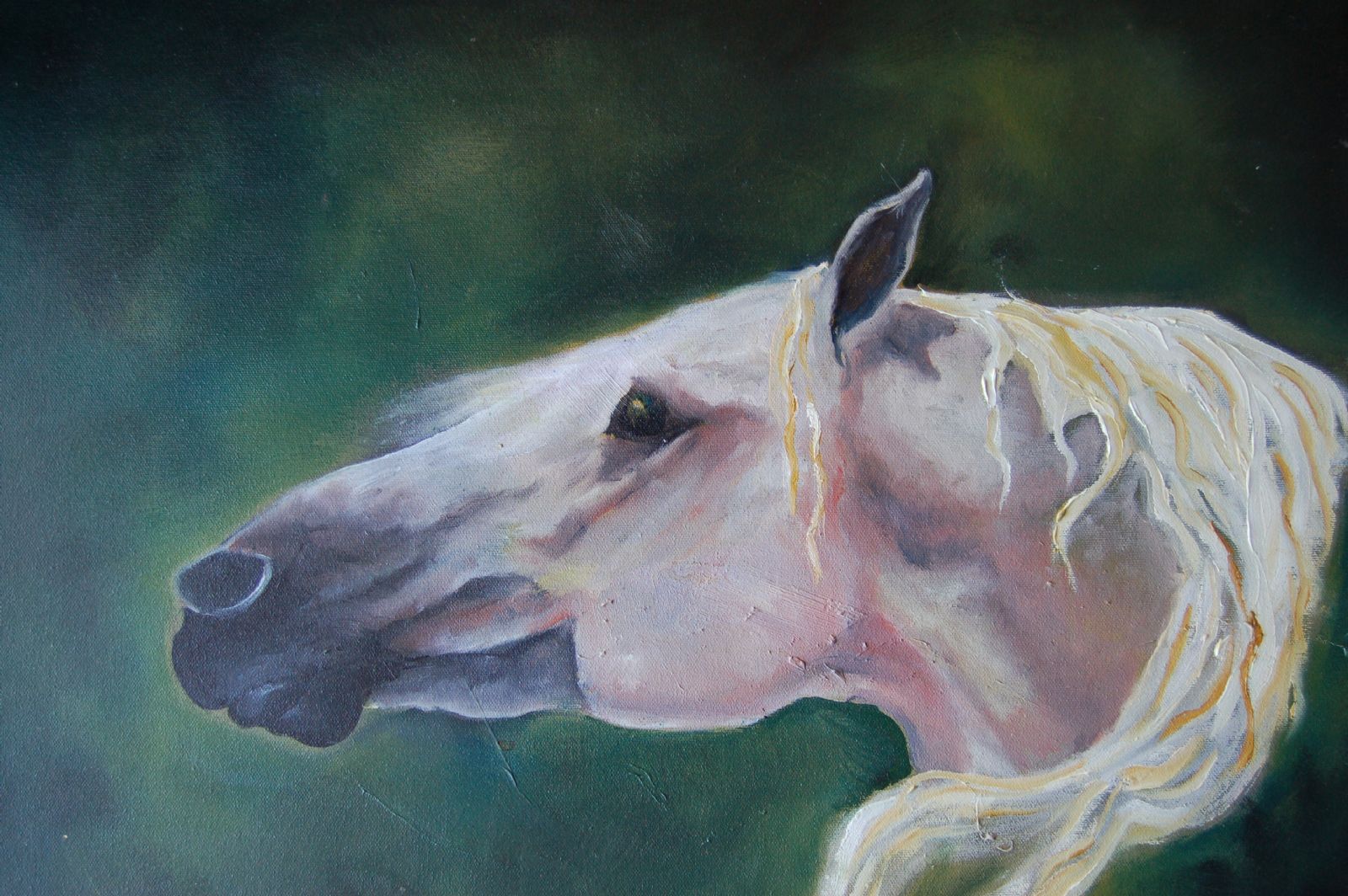 White Horse Head Painting at Explore collection of