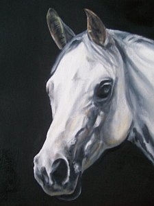 225x300 Donkey Head Paintings Fine Art America - White Horse Head Painting