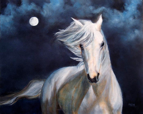 570x456 Marina Petro ~ Adventures In Daily Painting Moonsilver, White - White Horse Oil Painting
