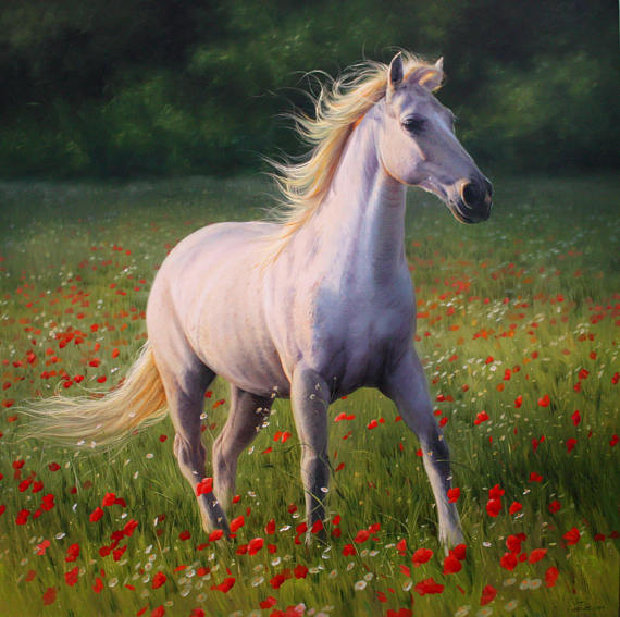 570x567 Running White Horse White Horse Oil Running Horse Painting - White Horse Oil Painting