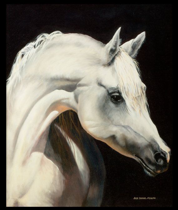 570x671 Sale Horse Painting - White Horse Oil Painting