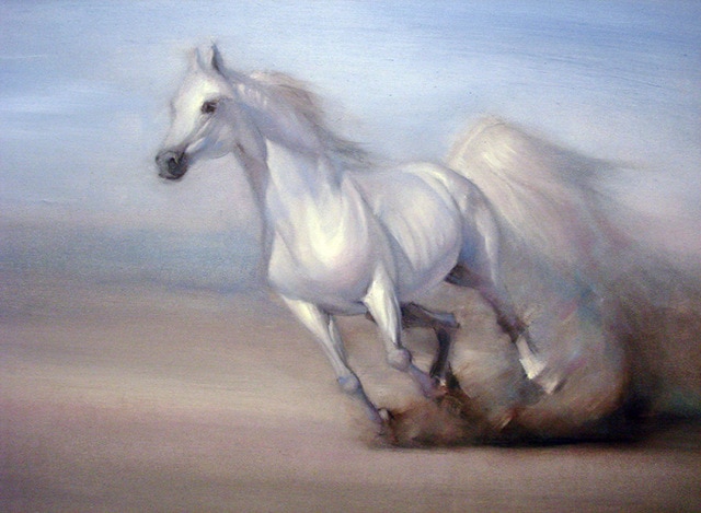 640x469 White Horse Oil Painting On Canvas Beautiful Wall Painting - White Horse Oil Painting