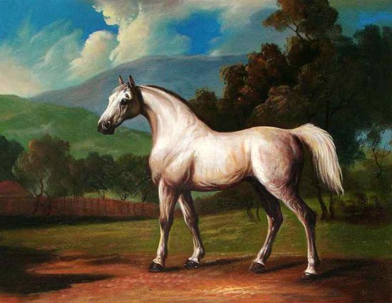 550x425 White Horse Subject Light Gray Sky Background On Canvas Animal Oil - White Horse Oil Painting