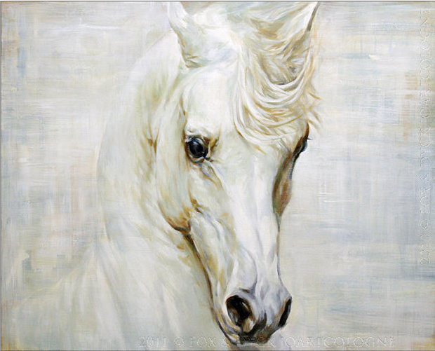 620x501 White - White Horse Painting